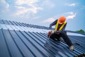 Best Roof Maintenance and Cleaning  in Paynesville, MN